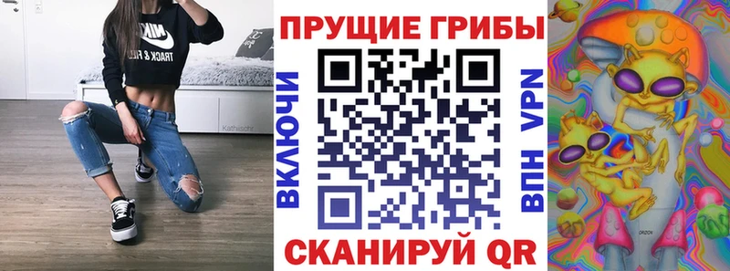 Купить  Армавир  Галлюциногенные грибы Magic Shrooms 